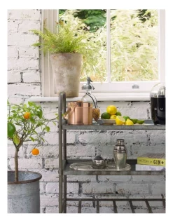 Wholesale 🎁 Smeg 50's Style Citrus Juicer Black CJF01BLAU 🧨 -Cuisinart Shop unnamed file 504